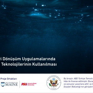 Su/Atıksu Geri Dönüşüm Uygulamalarında Nanokabarcık Teknolojilerinin Kullanılması