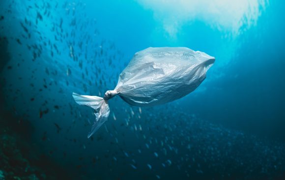 Plastik Kriziyle Mücadelede Uluslararası Gelişmeler ve Sivil Toplum Kuruluşlarının Rolü