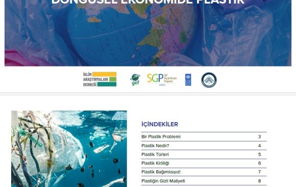 Online Rehber Döküman_Döngüsel Ekonomide Plastik_2 Döngüsel Ekonomide Plastik